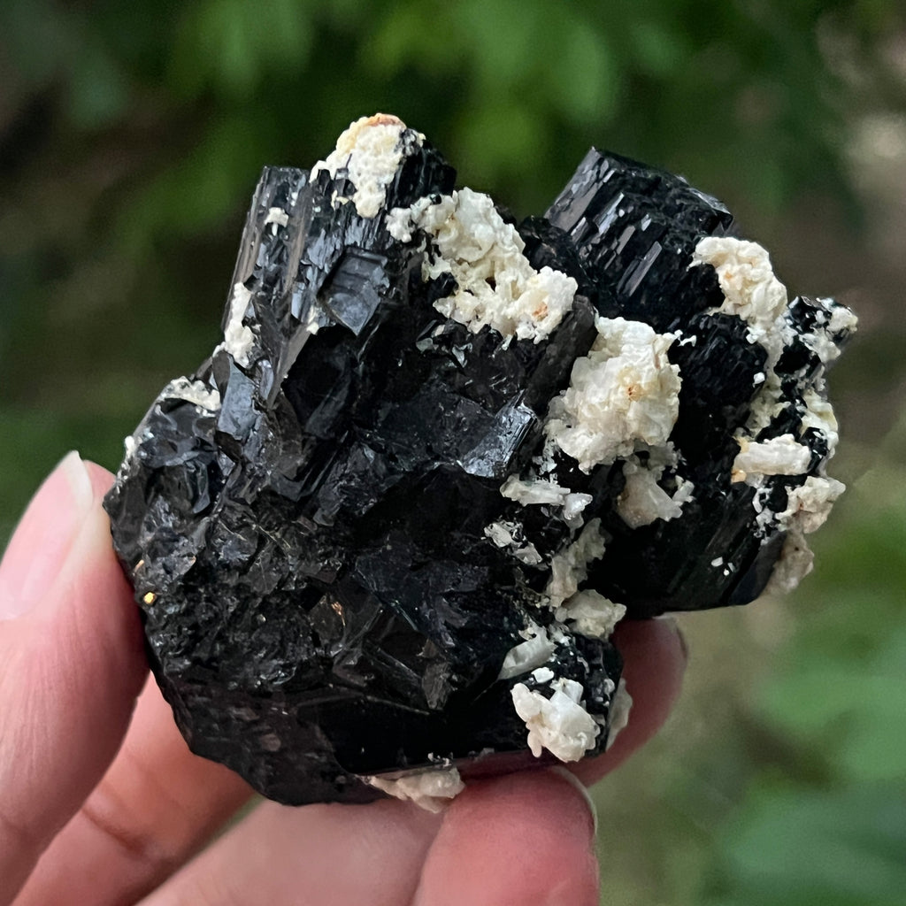 Cluster turmalina neagra model 2 din Erongo, Namibia, pietre semipretioase - druzy.ro 3 