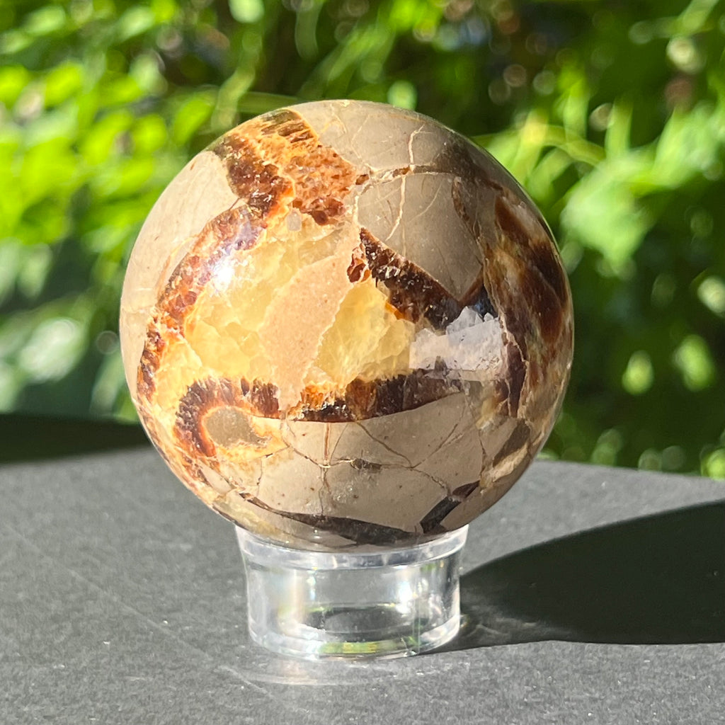 Septaria sfera 6 cm model 6, pietre semipretioase - druzy.ro 6
