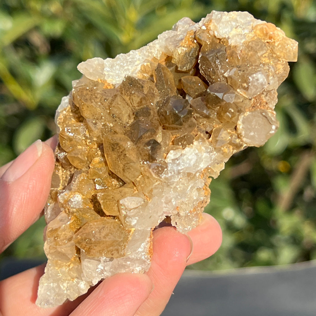 Cluster cuart lamaie Zambia, golden healer model 40, pietre semipretioase - druzy.ro 5 