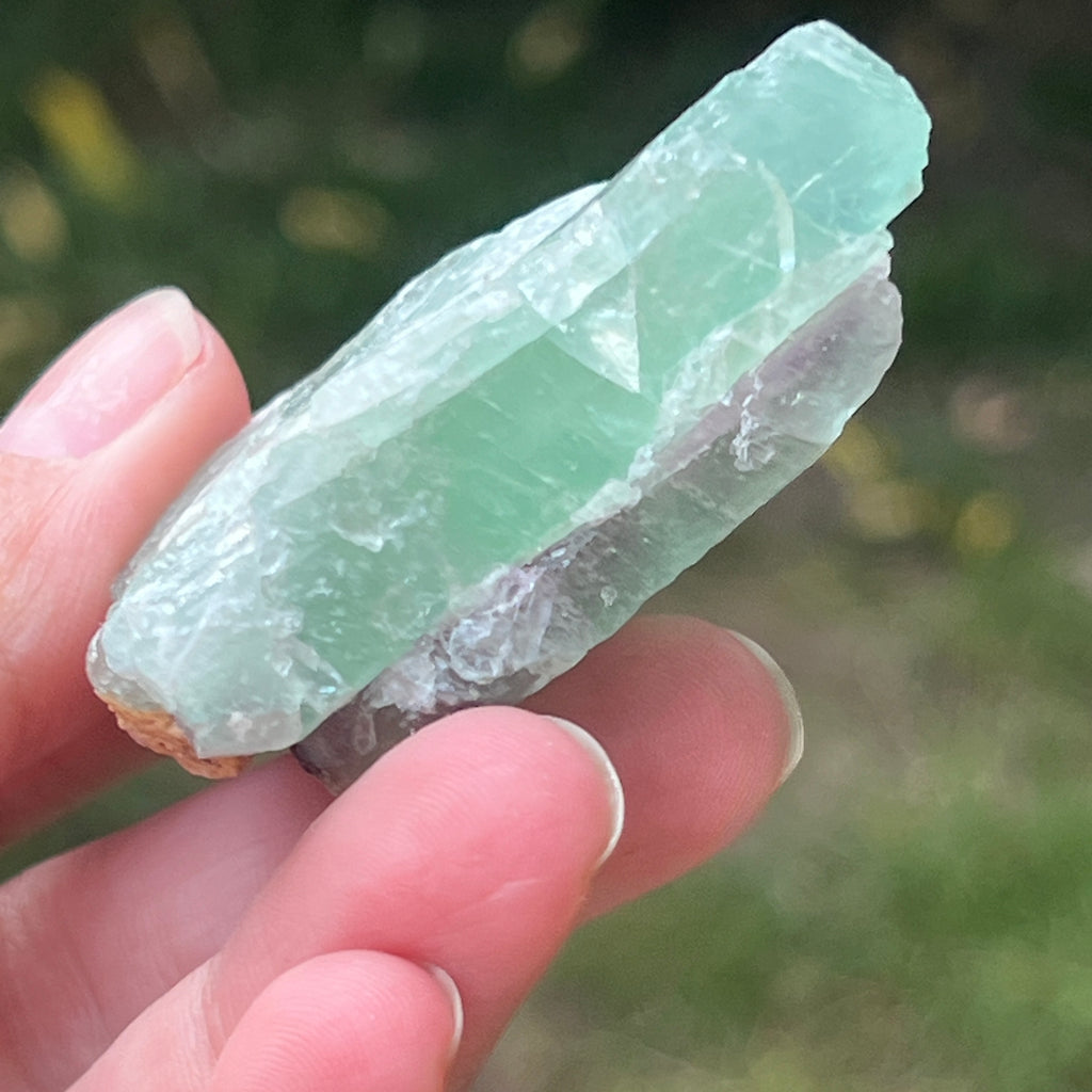 Fluorit piatra bruta din Namibia Africa model 11, pietre semipretioase - druzy.ro 4 
