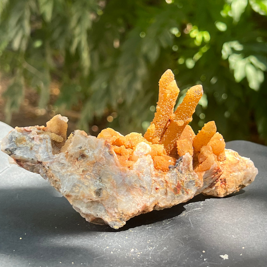 Cluster cuart lamaie, golden healer 4A/3, Africa de Sud, druzy.ro, pietre semipretioase 6