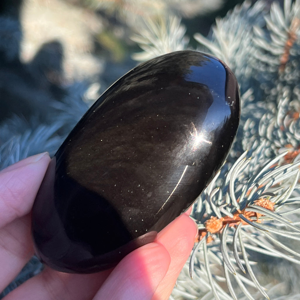 Obsidian palmstone model 11, pietre semipretioase - druzy.ro 6 