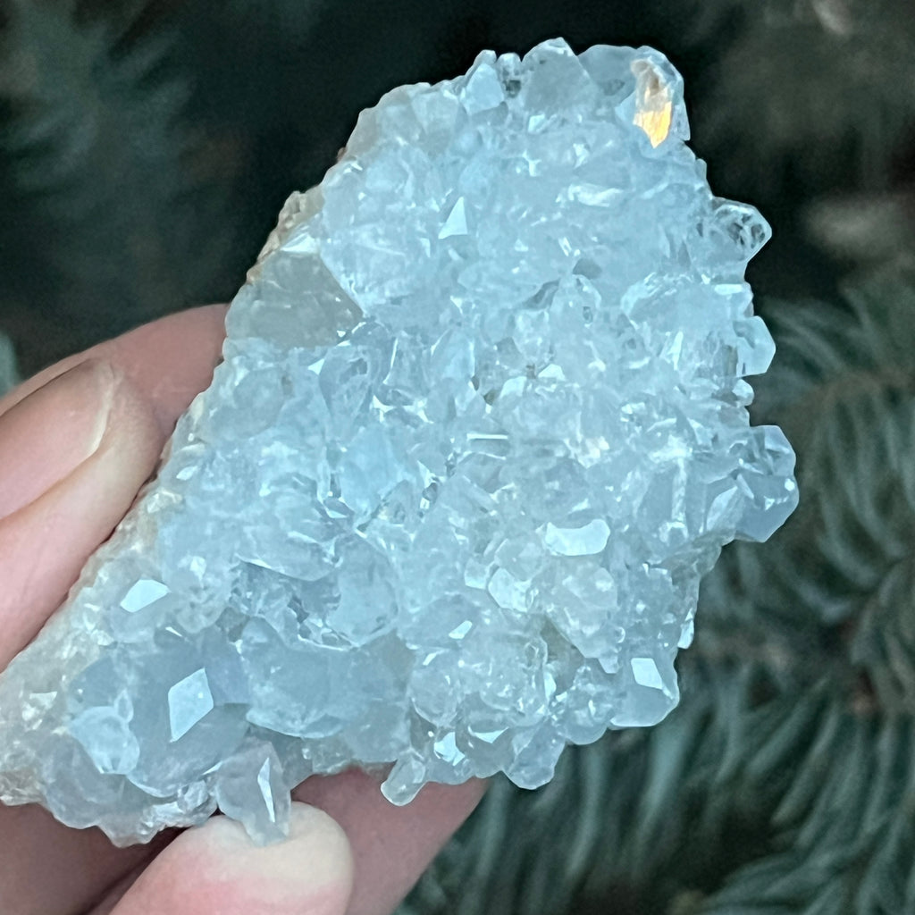 Celestit / celestina cluster m6, pietre semipretioase - druzy.ro 1 