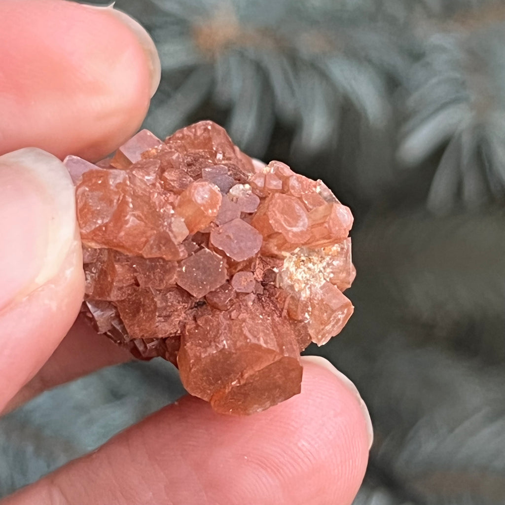 Cluster cristal aragonit din Maroc model 2, druzy.ro, cristale 2