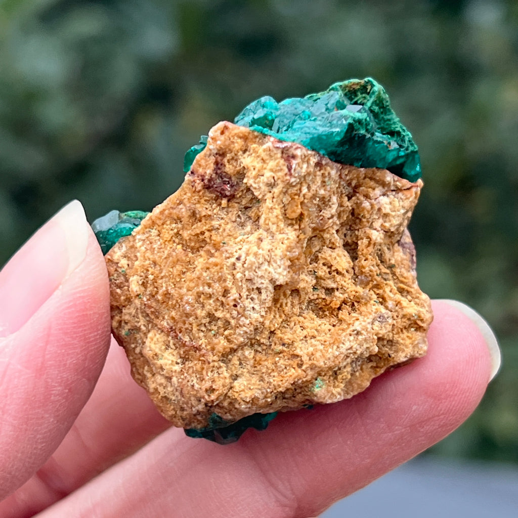 Dioptaz cluster din Congo model 25, pietre semipretioase - druzy.ro 7 