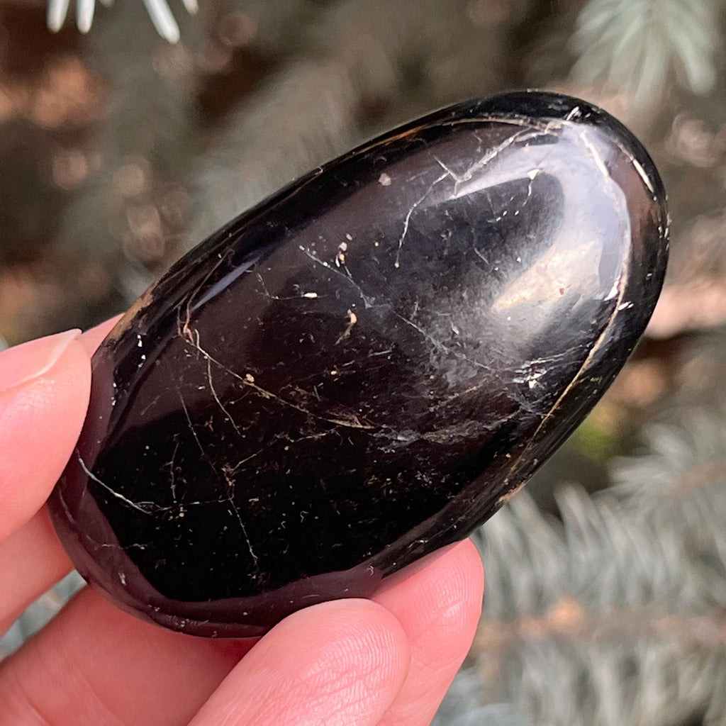 Turmalina neagra palmstone m12, pietre semipretioase - druzy.ro 1 