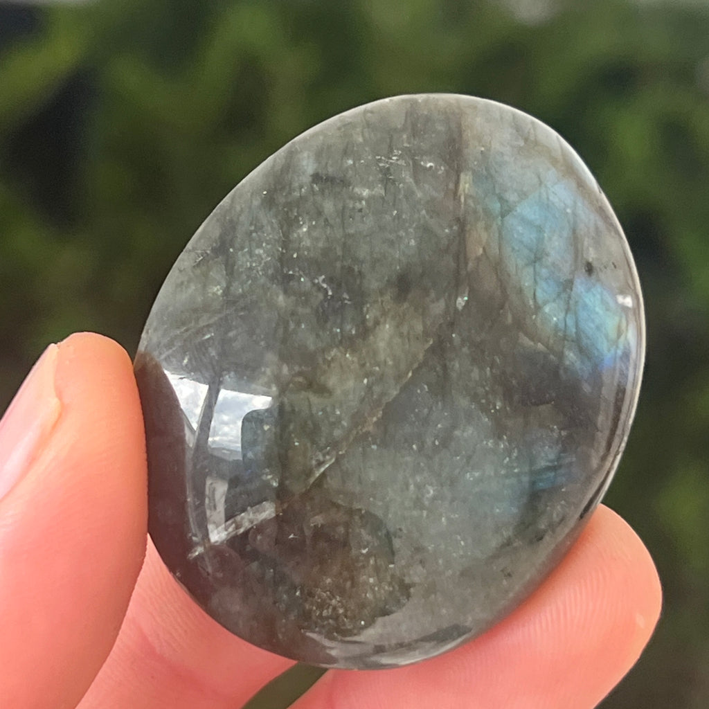 Labradorit palm stone din Madagascar model 4, pietre semipretioase - druzy.ro 4 