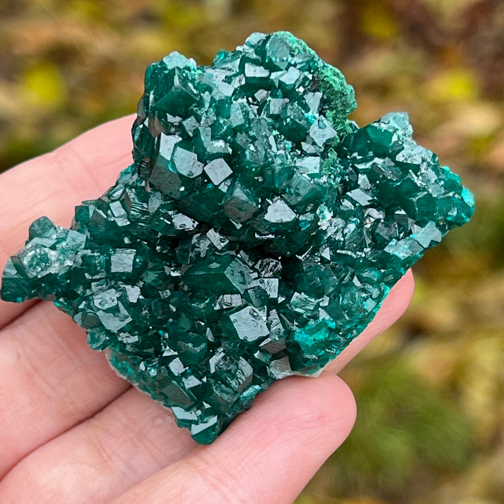 Dioptaz cluster din Congo model 7, pietre semipretioase - druzy.ro 12 