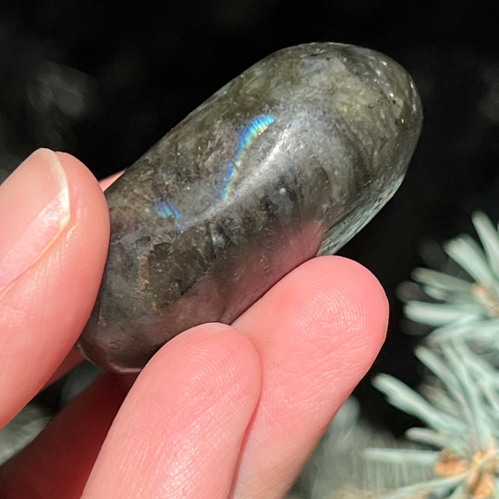 Labradorit palm stone m1, druzy.ro, cristale 2
