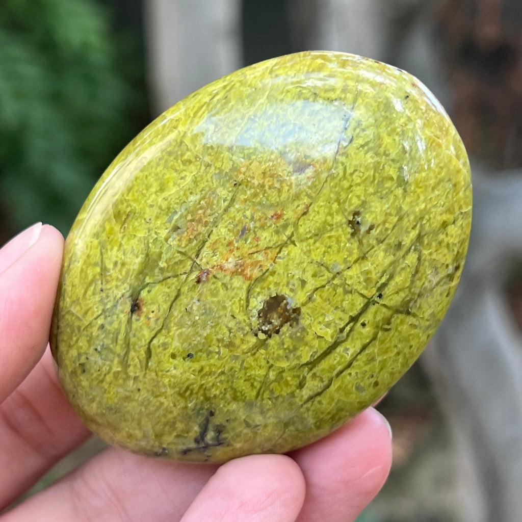 Opal verde palmstone m2, pietre semipretioase - druzy.ro 1 