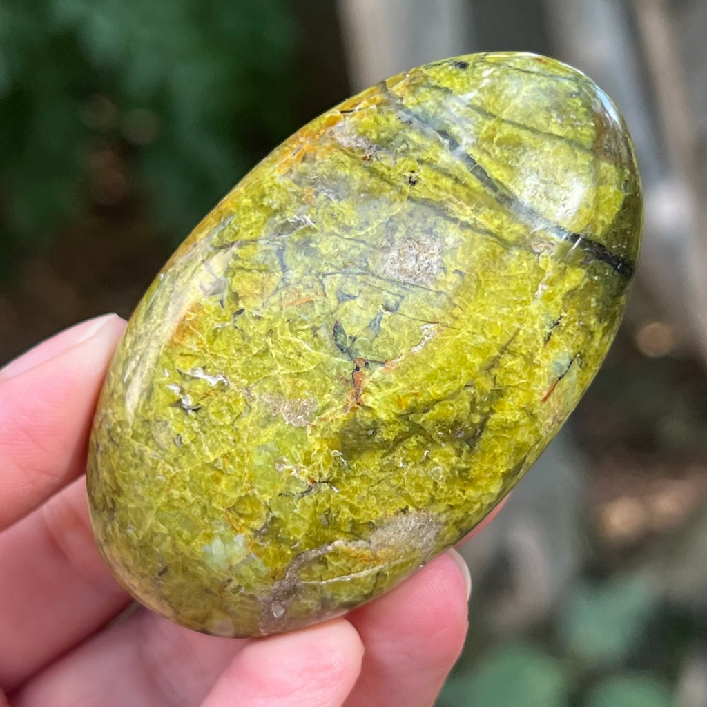 Opal verde palmstone m13, pietre semipretioase - druzy.ro 6 