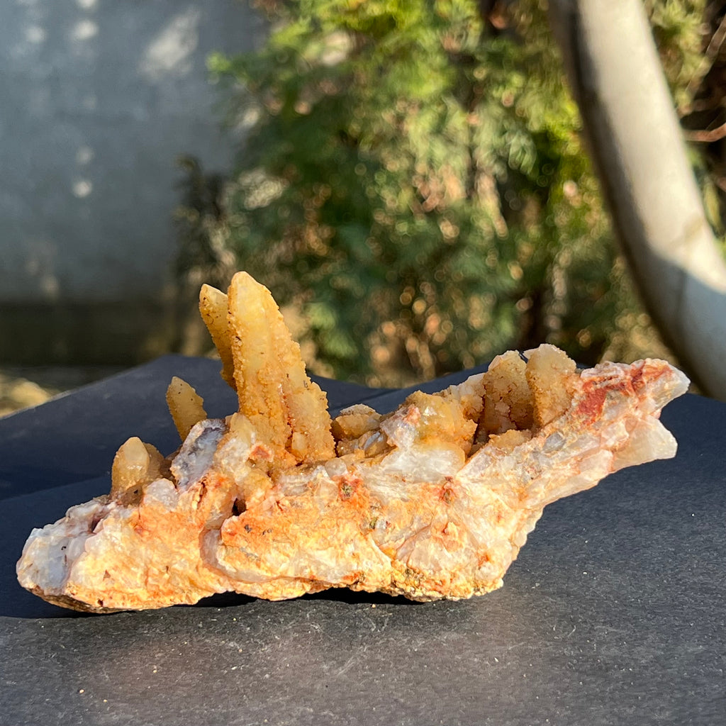 Cluster cuart lamaie, golden healer 4A/3, Africa de Sud, druzy.ro, cristale 3