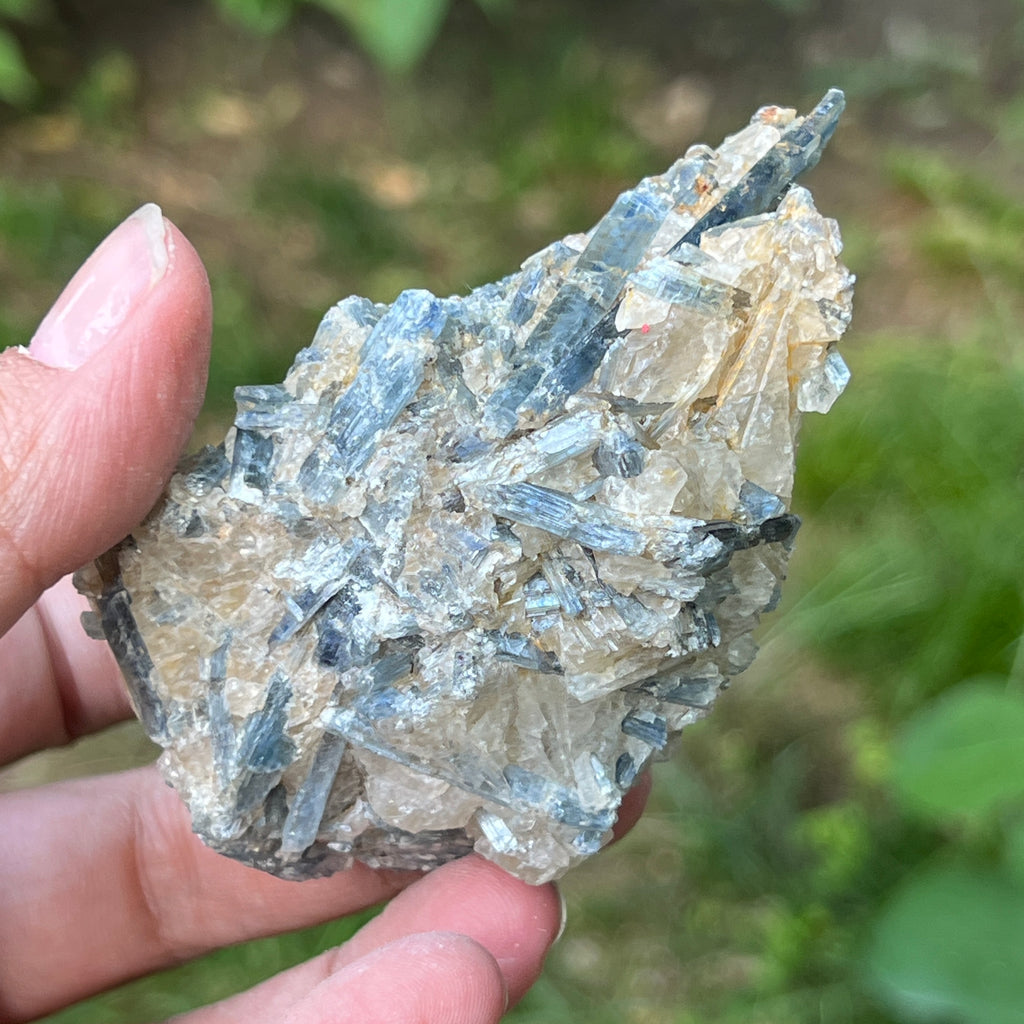 Kianit albastru (Cianit) piatra bruta din Zimbabwe model 12, pietre semipretioase - druzy.ro 2 