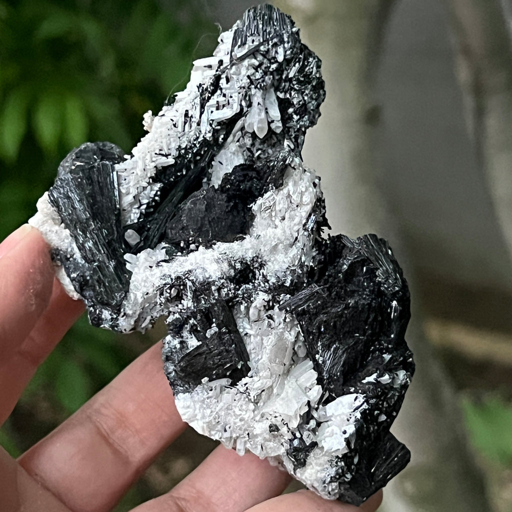 Cluster turmalina neagra model 11 din Erongo, Namibia, pietre semipretioase - druzy.ro 1 