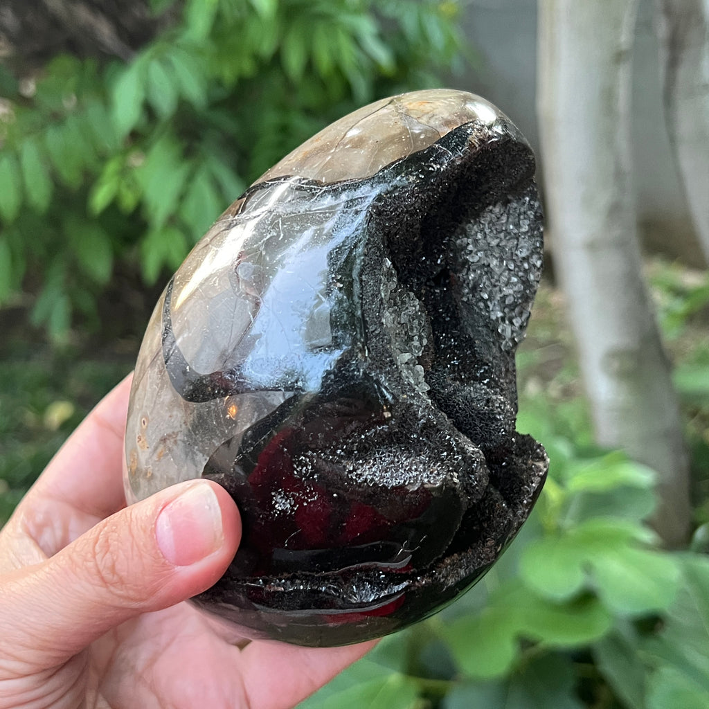 Ou Septaria din Madagascar, piatra dragonului, XL1, pietre semipretioase - druzy.ro 3 