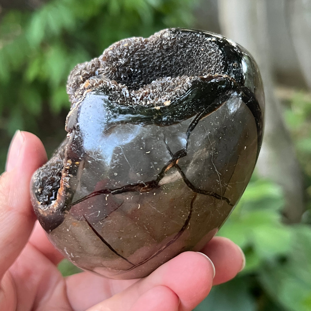 Ou Septaria din Madagascar , piatra dragonului, XL m3, pietre semipretioase - druzy.ro 4 