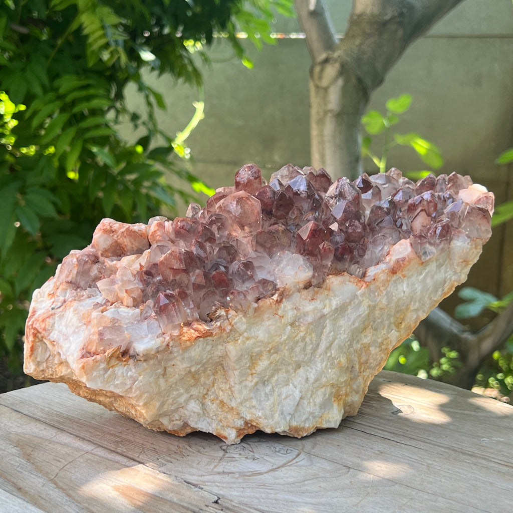 Cluster cuart rosu hematoid | Model XL2, pietre semipretioase - druzy.ro 6 