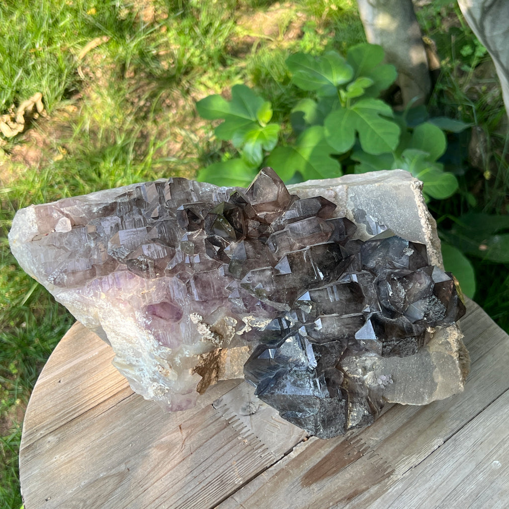 Specimen cluster cuart fumuriu mina Brandberg m8, pietre semipretioase - druzy.ro 5 