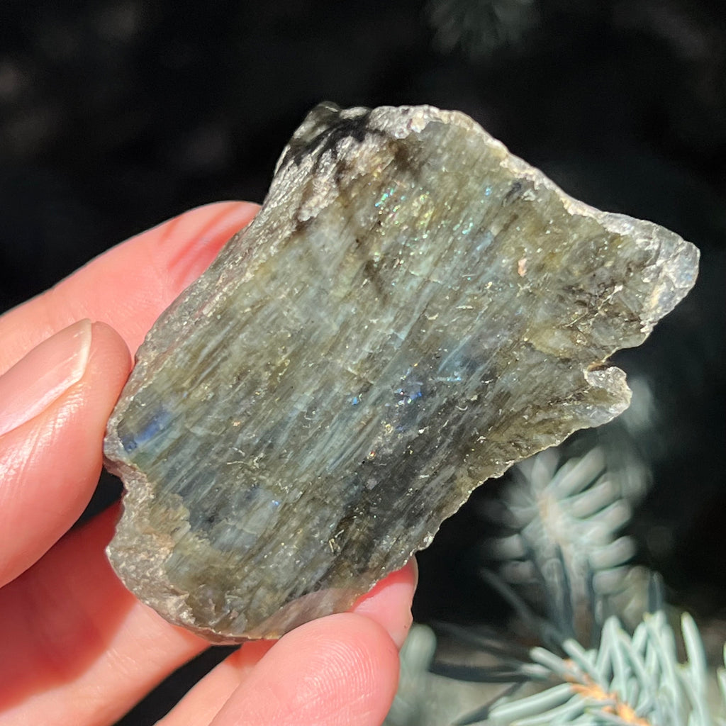 Labradorit piatra bruta polisata pe o fata m8, druzy.ro, cristale 6