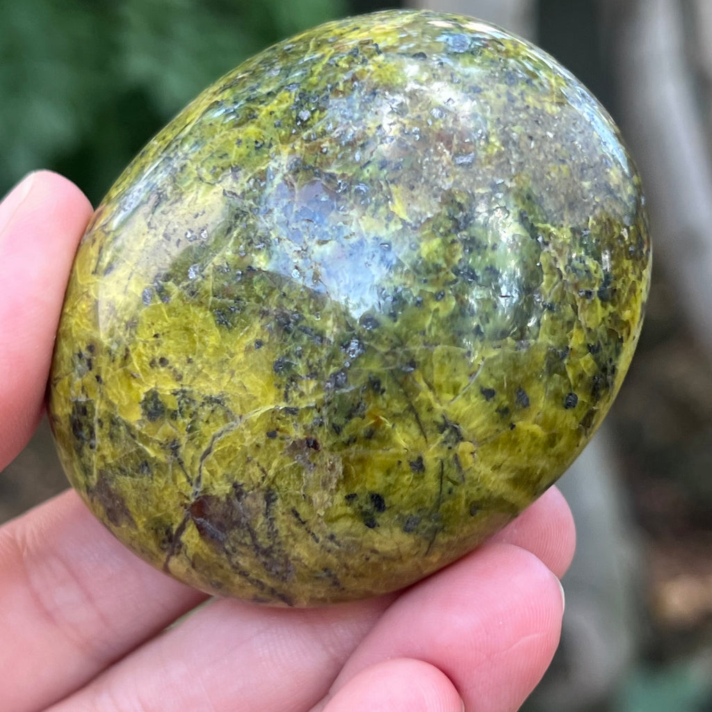 Opal verde palmstone m9, pietre semipretioase - druzy.ro 3 