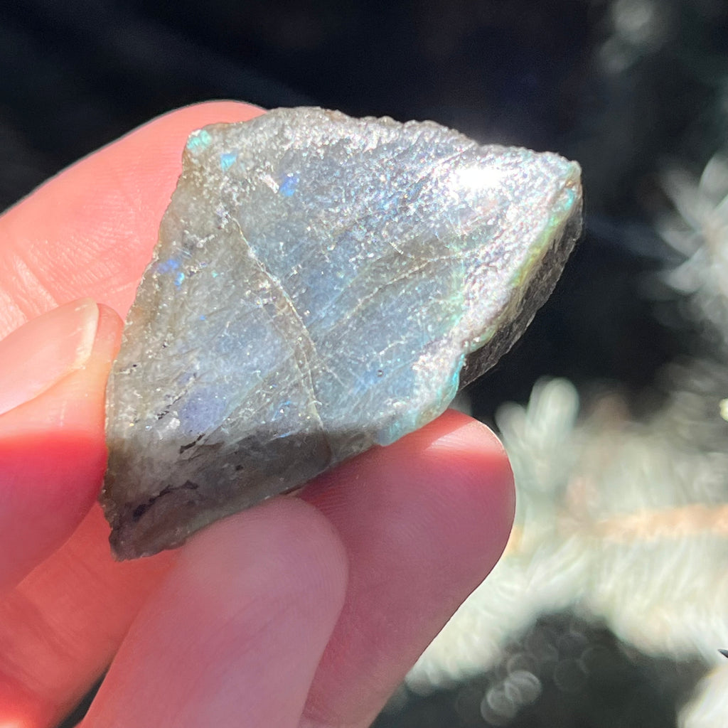 Labradorit piatra bruta polisata pe o fata m9, druzy.ro, cristale 3