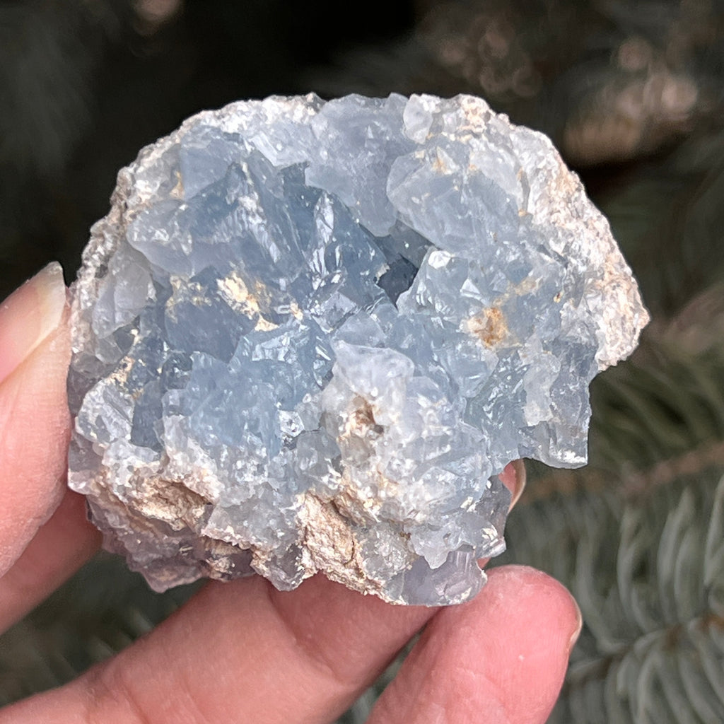 Celestit / celestina cluster m8, pietre semipretioase - druzy.ro 5 