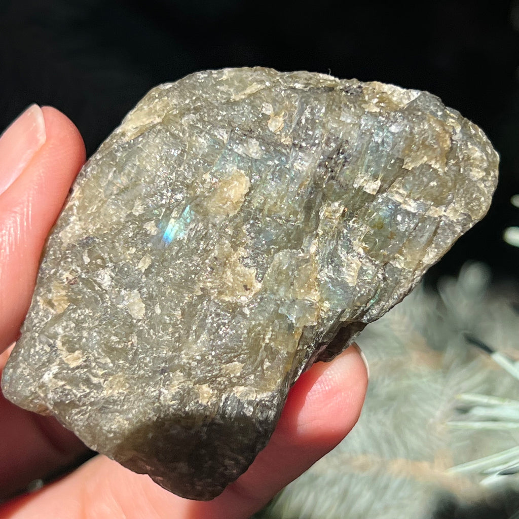 Labradorit piatra bruta polisata pe o fata e1, druzy.ro, cristale 3