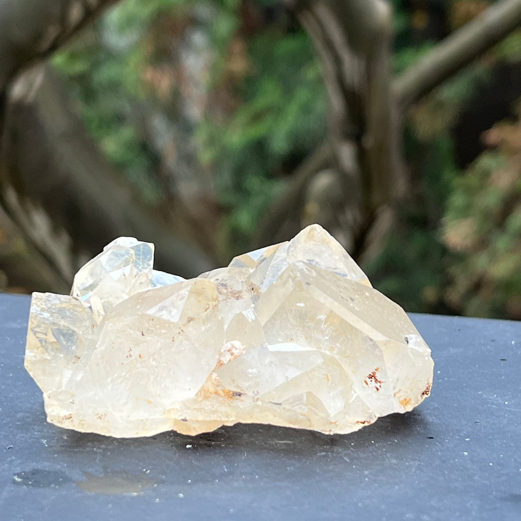 Cluster cuart incolor, floare de mina, cristal de stanca Zimbabwe m5, druzy.ro, cristale 2