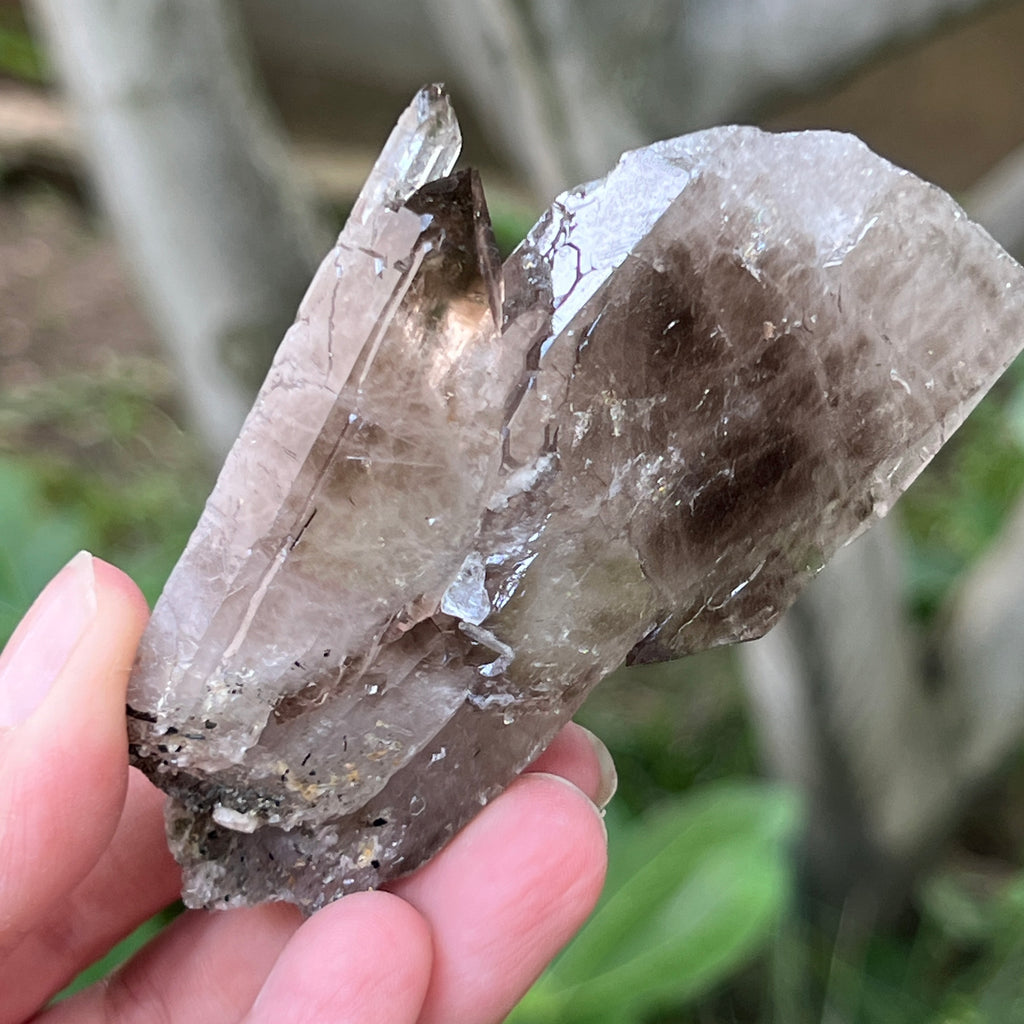 Cuart fumuriu generator/varf mina Brandberg | Model L6, pietre semipretioase - druzy.ro 2 