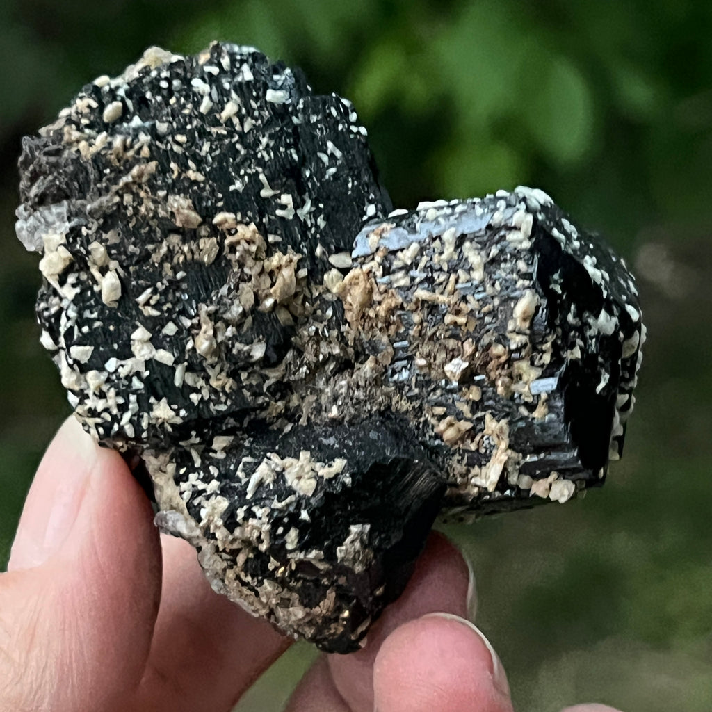 Cluster turmalina neagra model 6 din Erongo, Namibia, pietre semipretioase - druzy.ro 6 