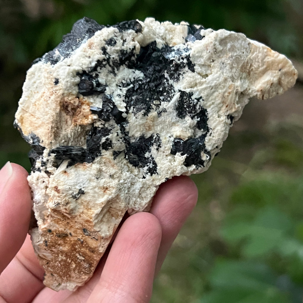 Cluster turmalina neagra model 1 din Erongo, Namibia, pietre semipretioase - druzy.ro 5 