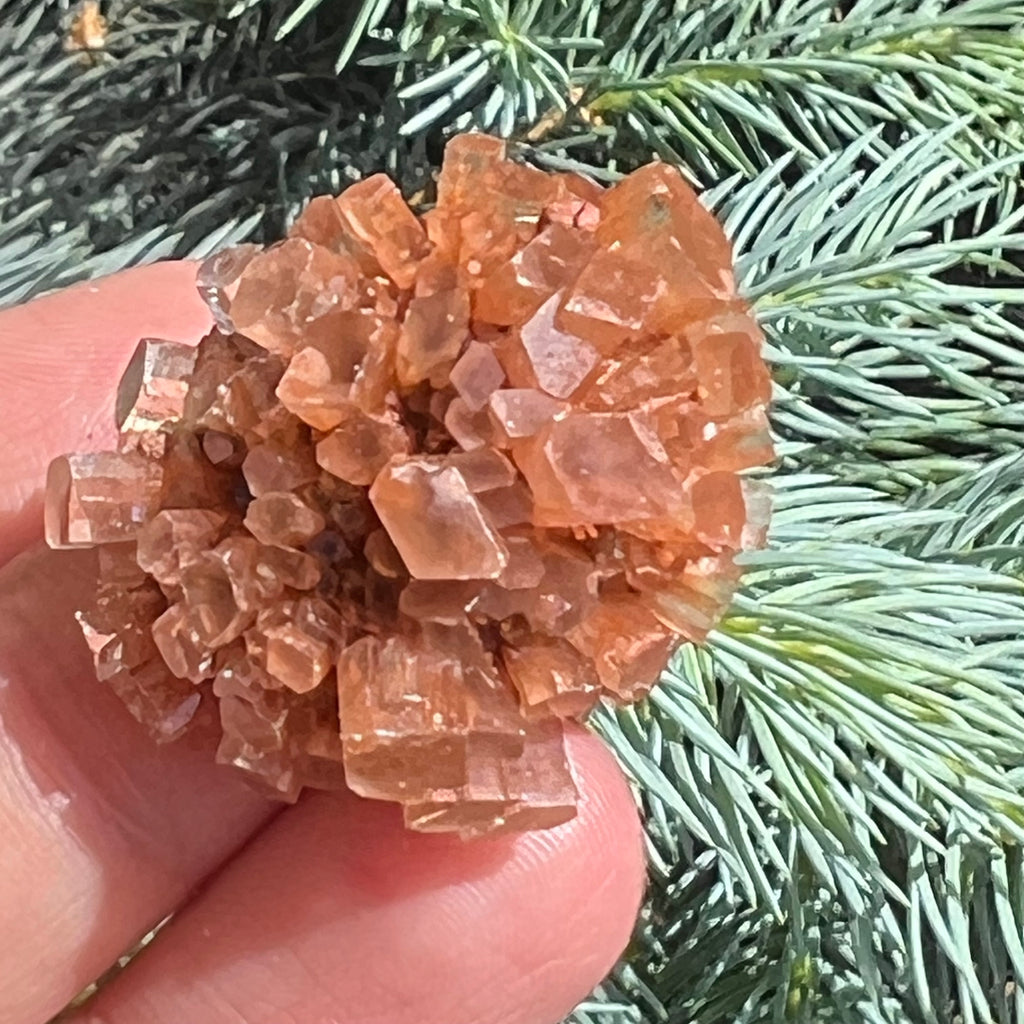 Cluster cristal aragonit din Maroc model 6, druzy.ro, cristale 1