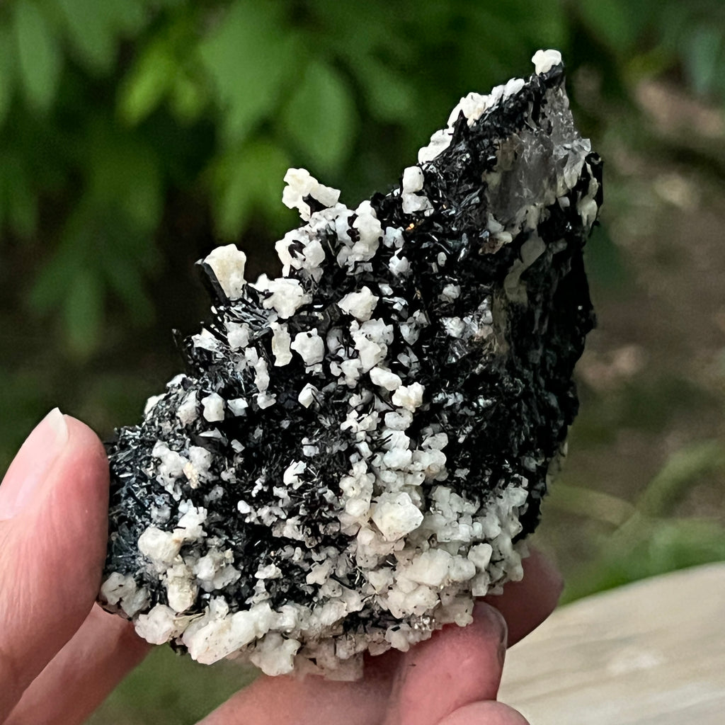 Cluster turmalina neagra model 7 din Erongo, Namibia, pietre semipretioase - druzy.ro 6 