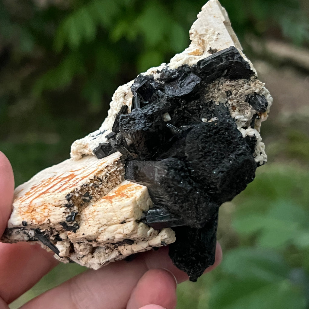 Cluster turmalina neagra model 1 din Erongo, Namibia, pietre semipretioase - druzy.ro 7 