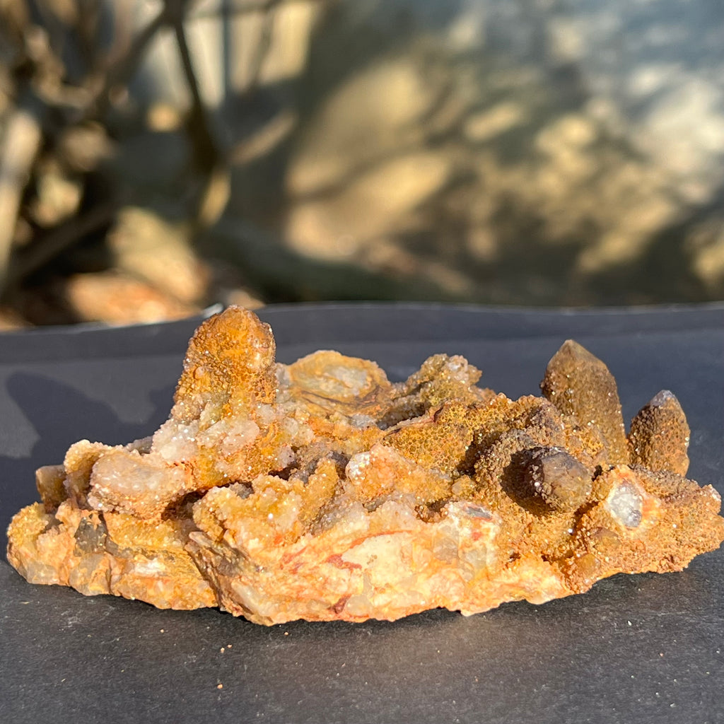Cluster cuart lamaie, golden healer 4A/2, Africa de Sud, druzy.ro, cristale 3