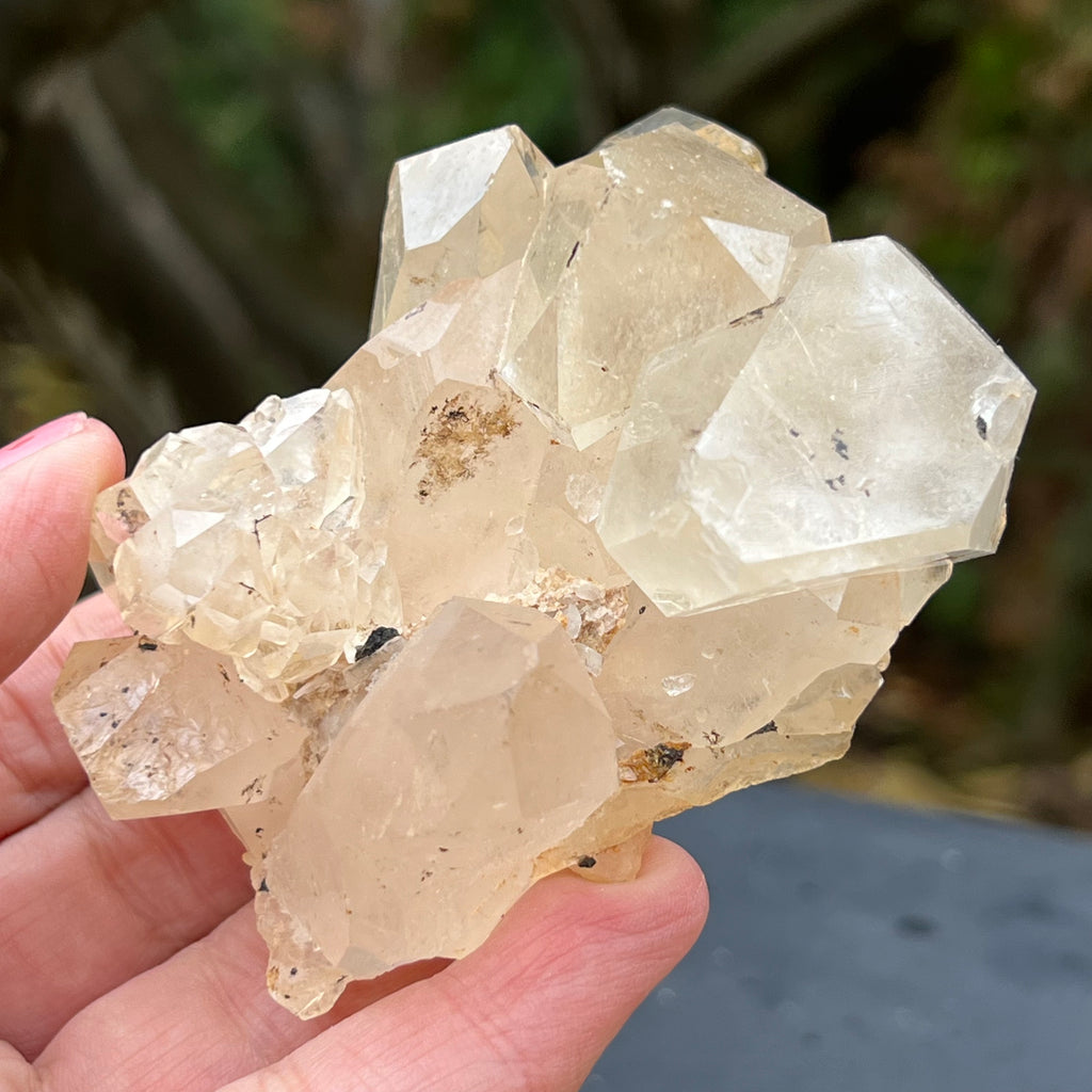 Cluster cuart incolor, floare de mina, cristal de stanca Zimbabwe m5, druzy.ro, cristale 5