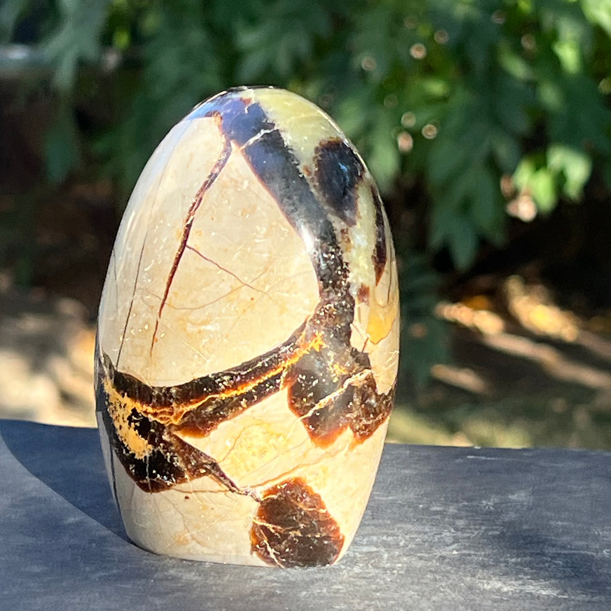Structure de forme libre Septaria m1, pierre de dragon – DRUZY