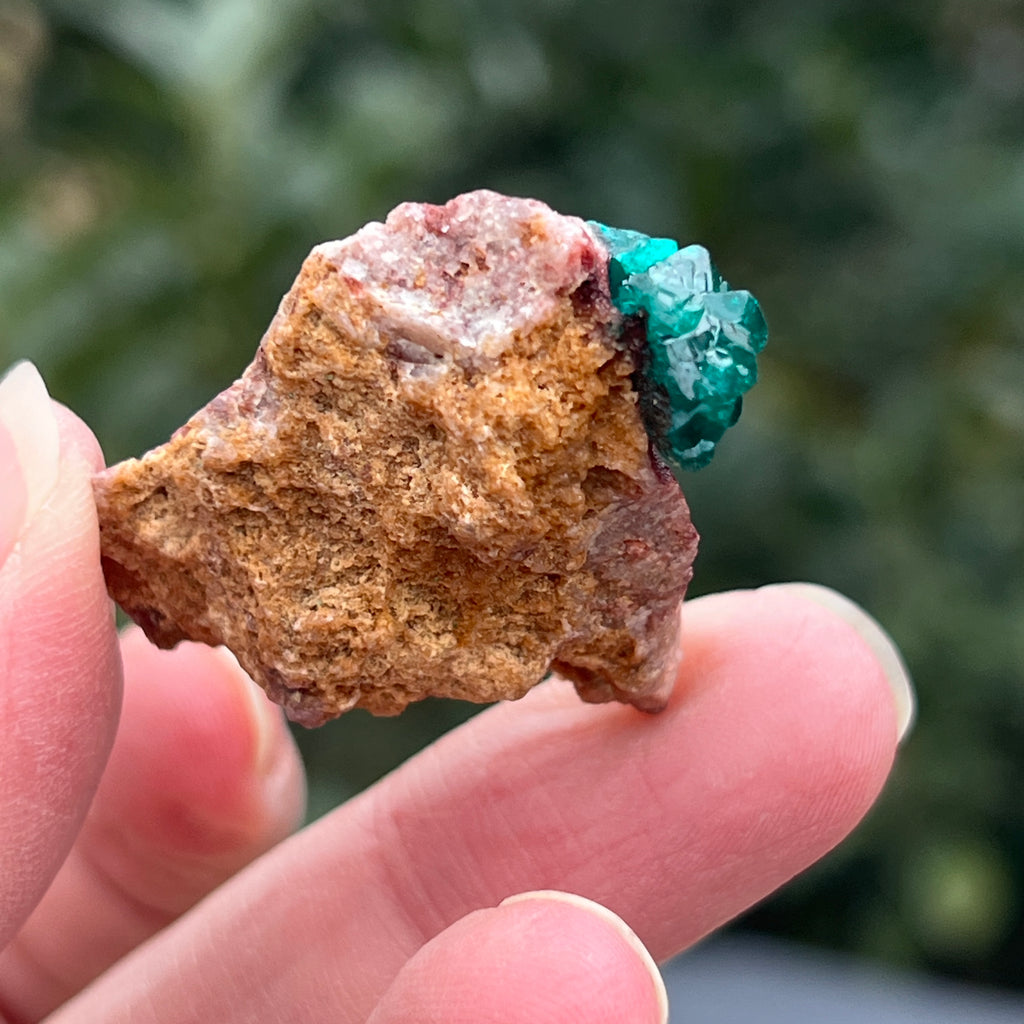 Dioptaz cluster din Congo model 38, pietre semipretioase - druzy.ro 3 