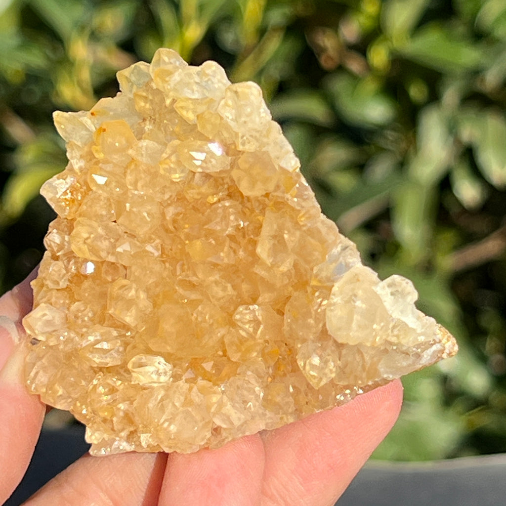 Cluster cuart lamaie Zambia, golden healer model 44, pietre semipretioase - druzy.ro 1 