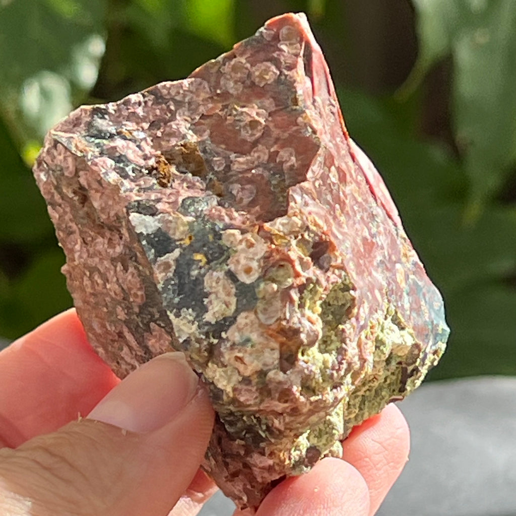 Sardonix India piatra bruta m15, pietre semipretioase - druzy.ro 6 