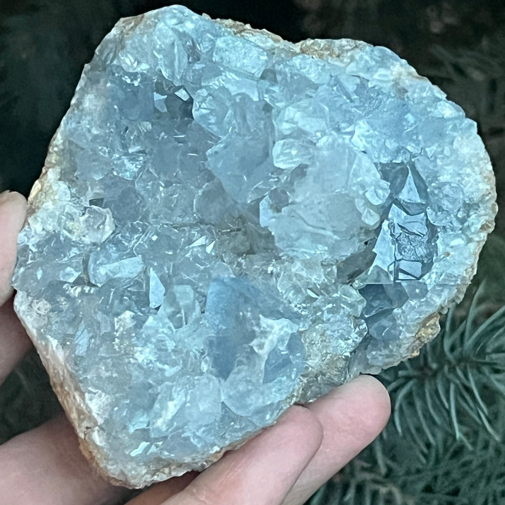 Celestit / celestina cluster m11, pietre semipretioase - druzy.ro 1 