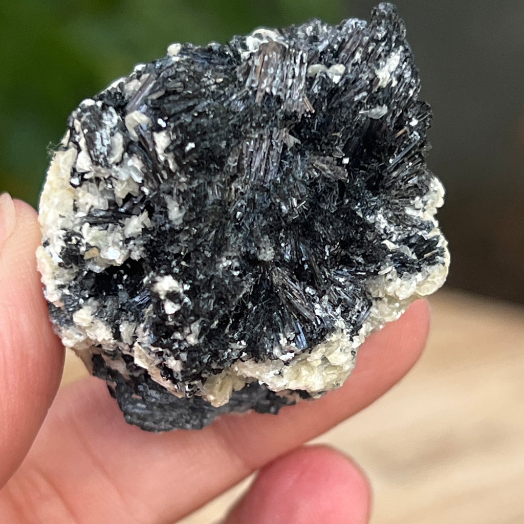 Cluster turmalina neagra cu vermiculita din Erongo m2, pietre semipretioase - druzy.ro 4 