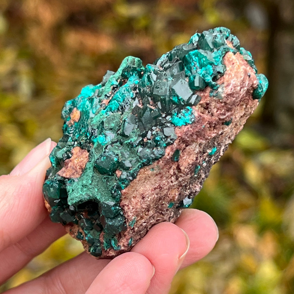 Dioptaz cluster din Congo model 12, pietre semipretioase - druzy.ro 4 