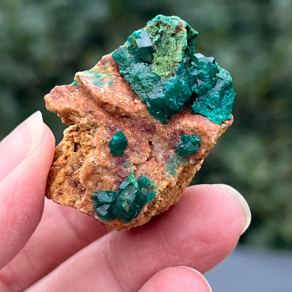 Dioptaz cluster din Congo model 25, pietre semipretioase - druzy.ro 5 