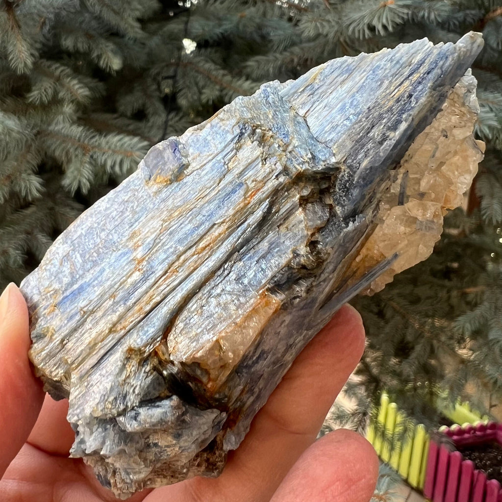 Kianit albastru (Cianit) piatra bruta din Zimbabwe model 9, druzy.ro, cristale 1