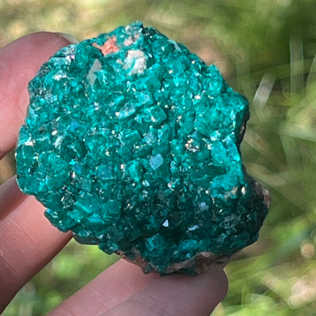Dioptaz cluster din Congo model 6, pietre semipretioase - druzy.ro 7 
