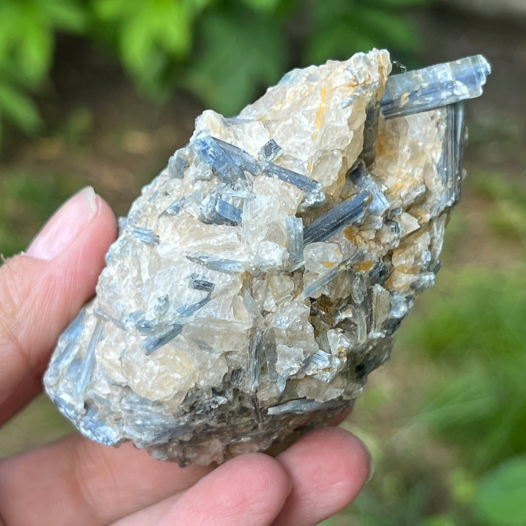 Kianit albastru (Cianit) piatra bruta din Zimbabwe model 12, pietre semipretioase - druzy.ro 10 