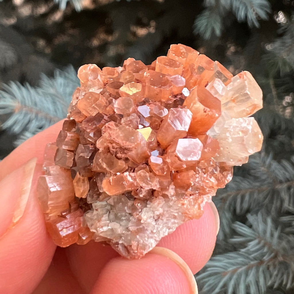 Cluster cristal aragonit din Maroc model 5, druzy.ro, pietre semipretioase 2