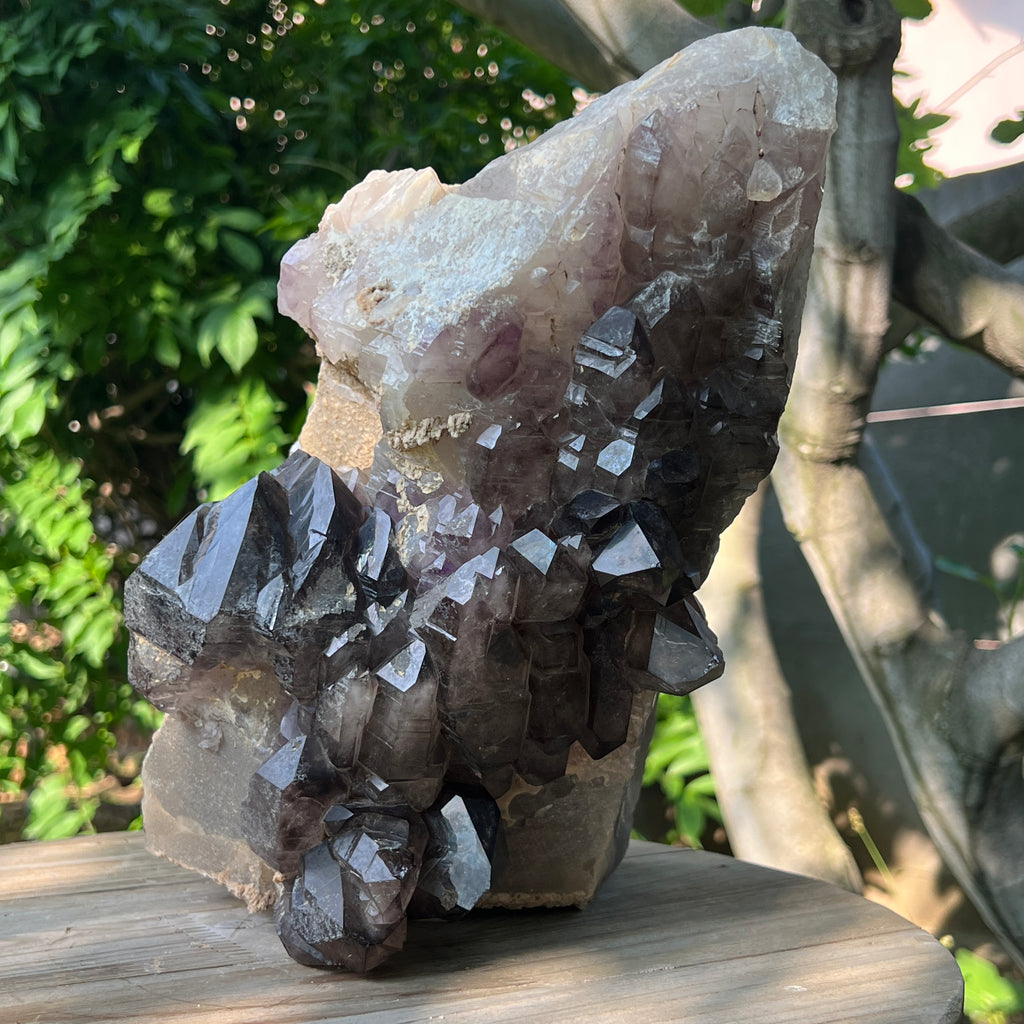 Specimen cluster cuart fumuriu mina Brandberg m8, pietre semipretioase - druzy.ro 9 