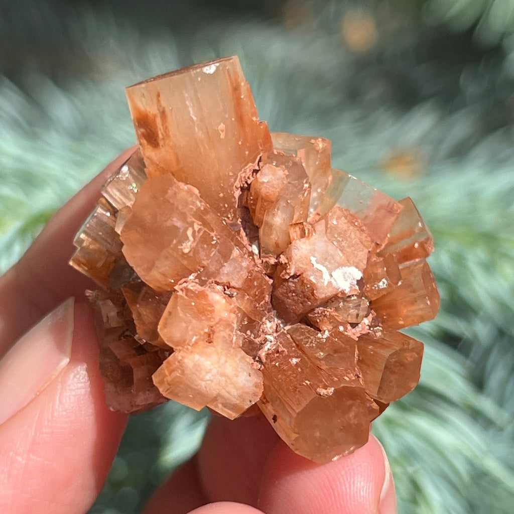 Cluster cristal aragonit din Maroc model 7, druzy.ro, cristale 4